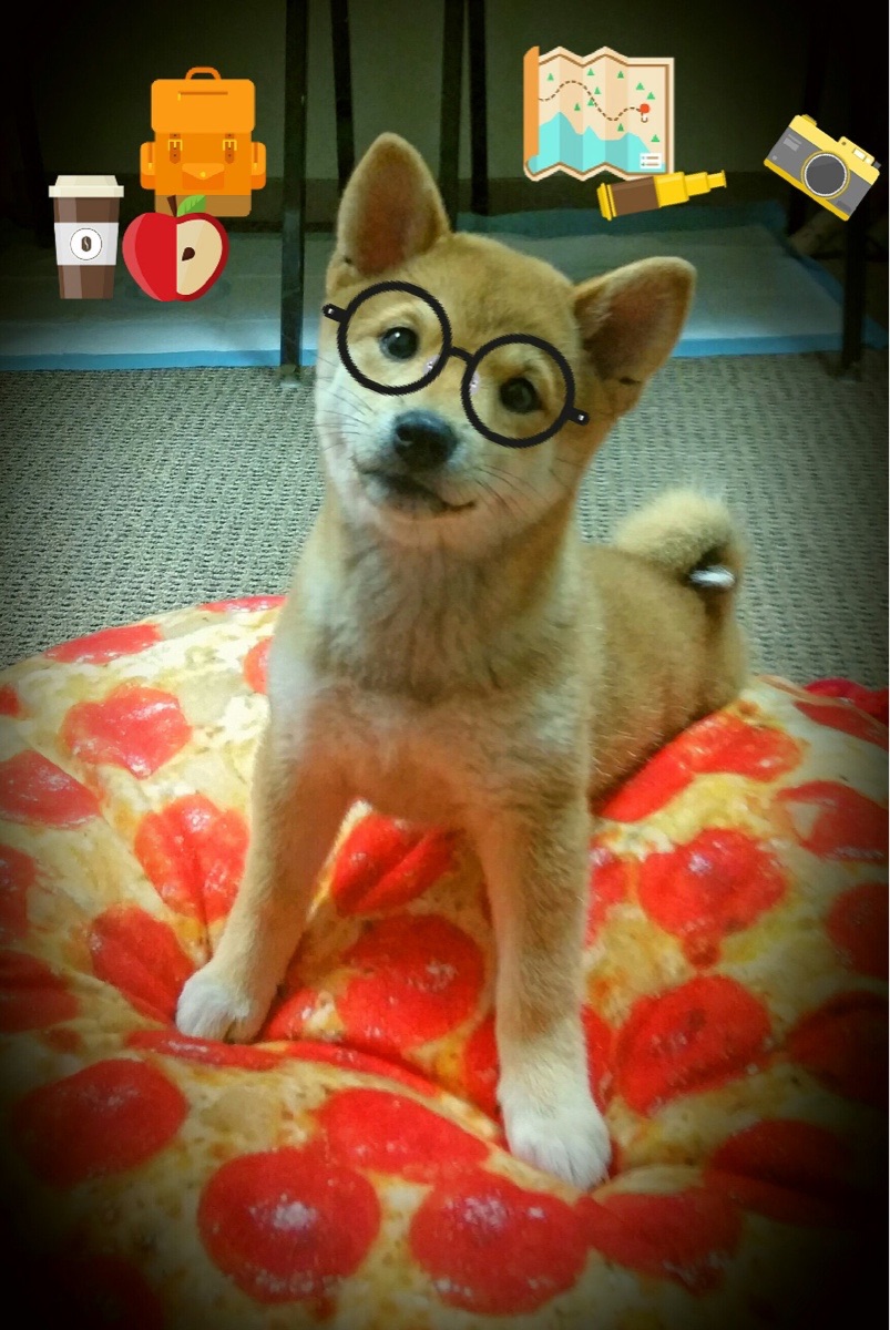 开云体育APP下载-_快船迎战强敌，团队合作彰显实力_，快船队官方