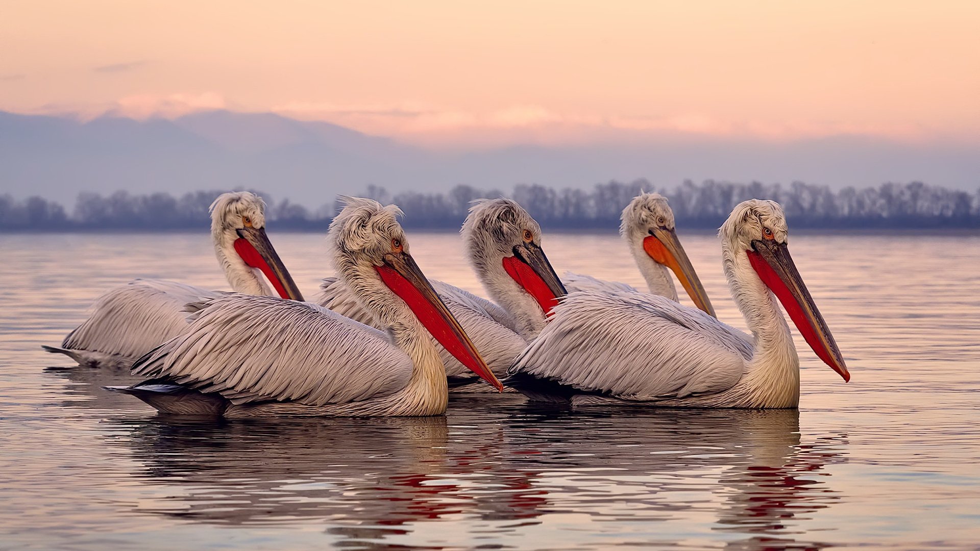 “未来之星”青少年“篮球+科技”人才培养计划在上海全面铺开，推动行业高质量发展