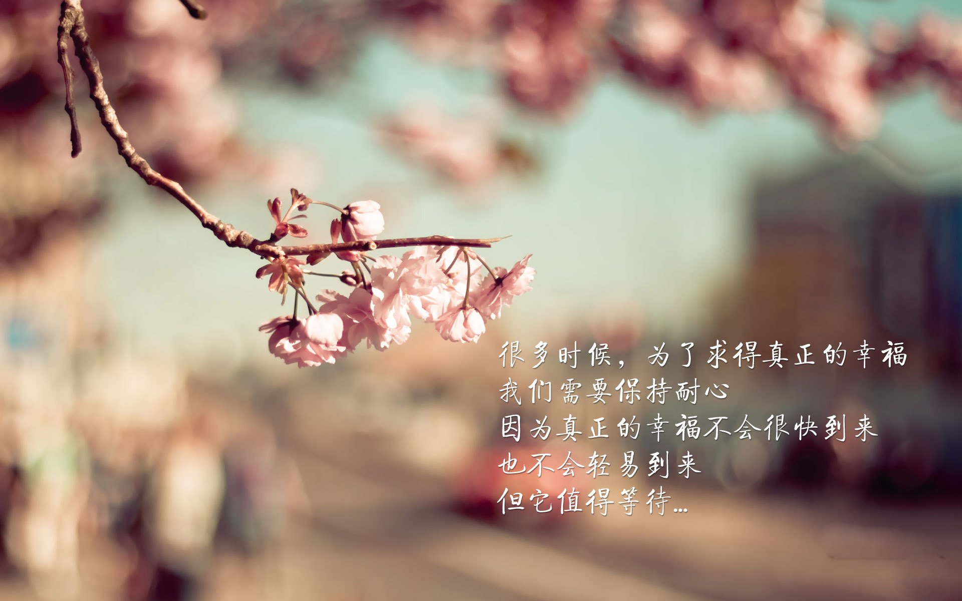 中国高尔夫球协会发布2024年中高协主办赛事安排,中国高尔夫球协会会员