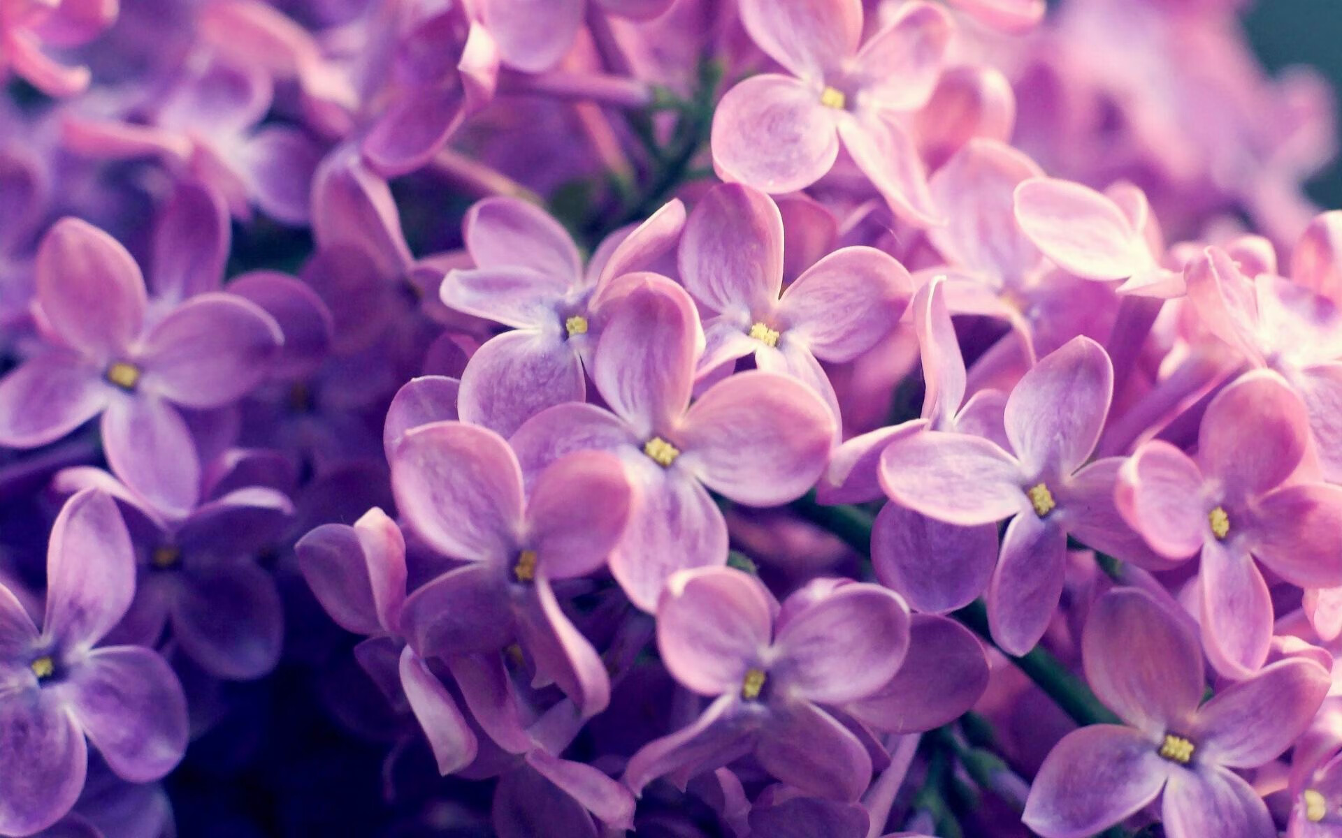 开云体育下载-内马尔、姆巴佩、梅西三人联手的战术配合令人惊叹，内马尔姆巴佩梅西合照