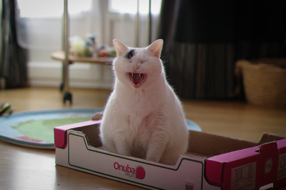 未来智慧场馆“云管理”成为行业标配,基础设施不断升级,智慧场馆解决方案