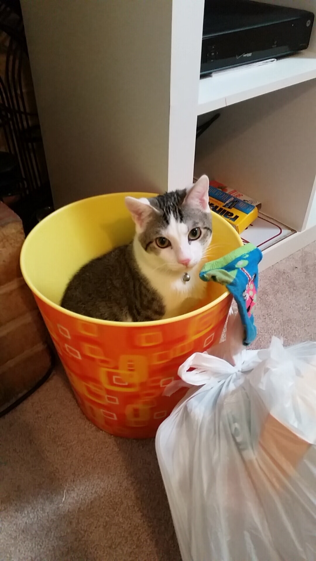 开云体育官网-牛逼的裁判语录：公平公正的守护者，裁判公平公正的句子