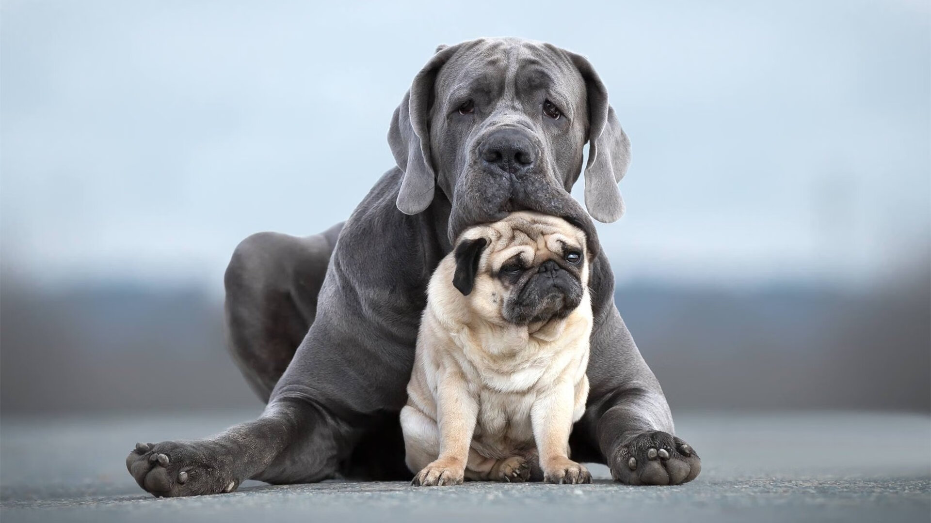 开云体育下载网页版-英超强力碰撞，精彩进球和门神扑救交替上演，2021英超门将扑救成功率