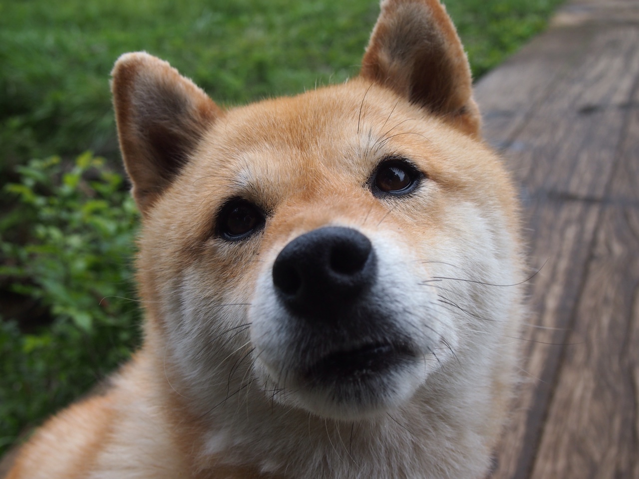 开云体育下载-足球视频剪辑技巧培训班全国推广，足球视频剪辑特效