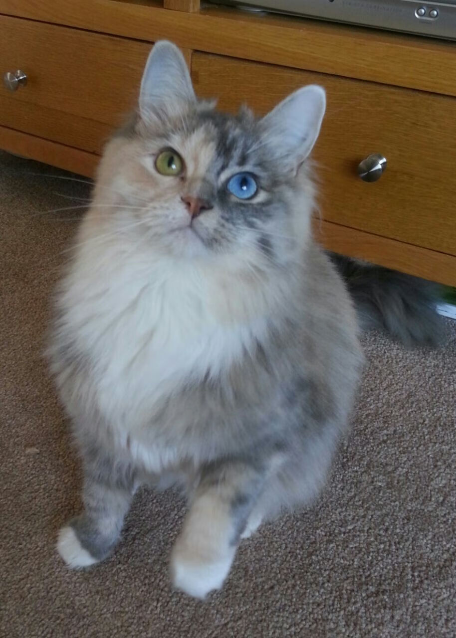 kaiyun app-逆境中的领袖：队长们的激励话语，队长语录