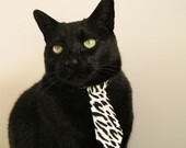 上海上港前锋受伤,对球队目标形成威胁,上海上港队队员