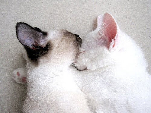 kaiyun sports safe-中国女足队员刘某在比赛中攻入制胜球，中国女子足球队问责