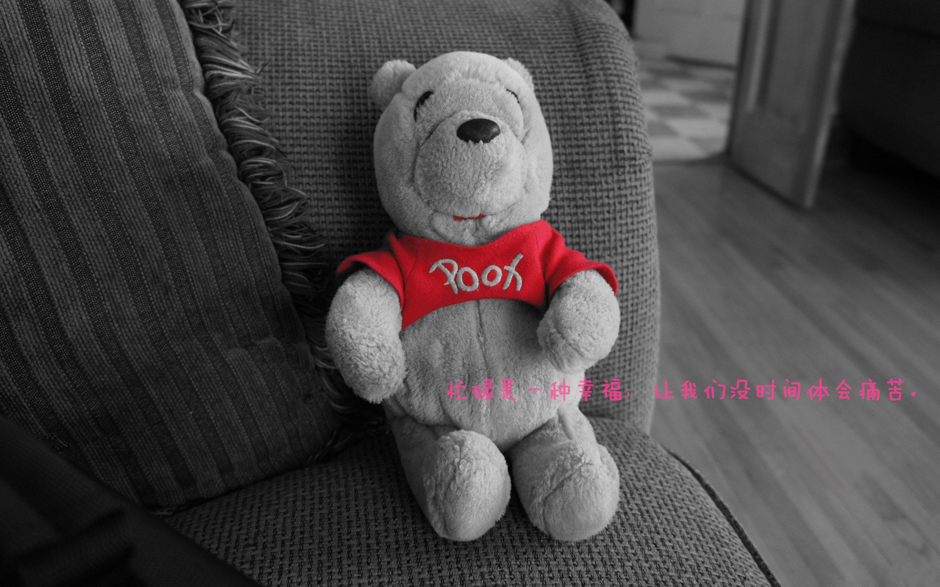 中国篮球职业联赛俱乐部青训体系构建与人才输送模式,篮球青训师的待遇怎么样