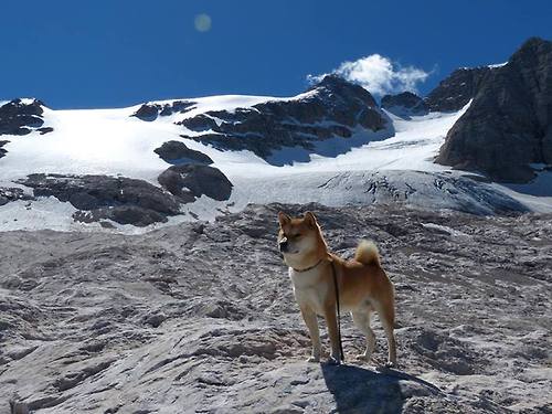 全国青少年运动会田径项目赛场火热，2020年全国青少年田径赛事计划