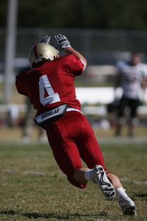 开云体育下载官网-全国青少年跳水锦标赛在深圳火热进行，全国青少年跳水比赛